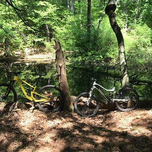 Meet your Posher, Terri